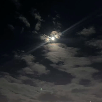 Night time is beautiful and summer night is great for camping.