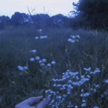 I always found the word 'melanchony' beautiful.