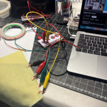 I then connected multiple alligator clips to the felt.
