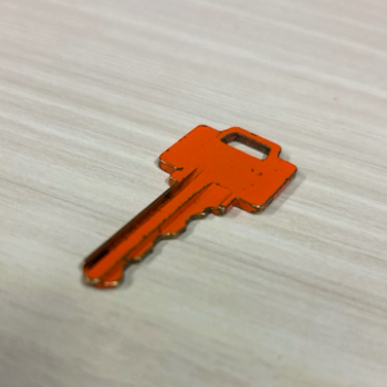 Physical Image of an Key
