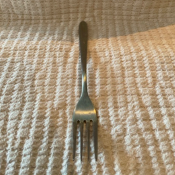 Physical Image of an Fork