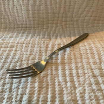 Physical Image of an Fork